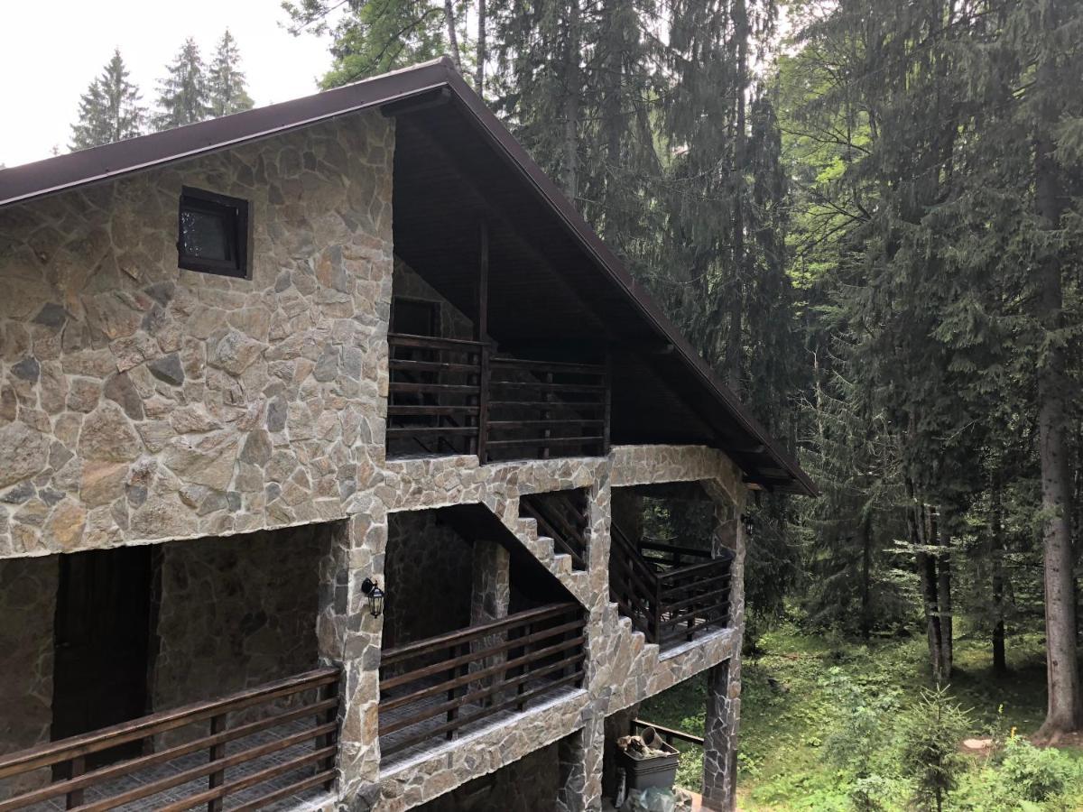 Cabana Zimbru Transfagarasan Arefu Exterior foto