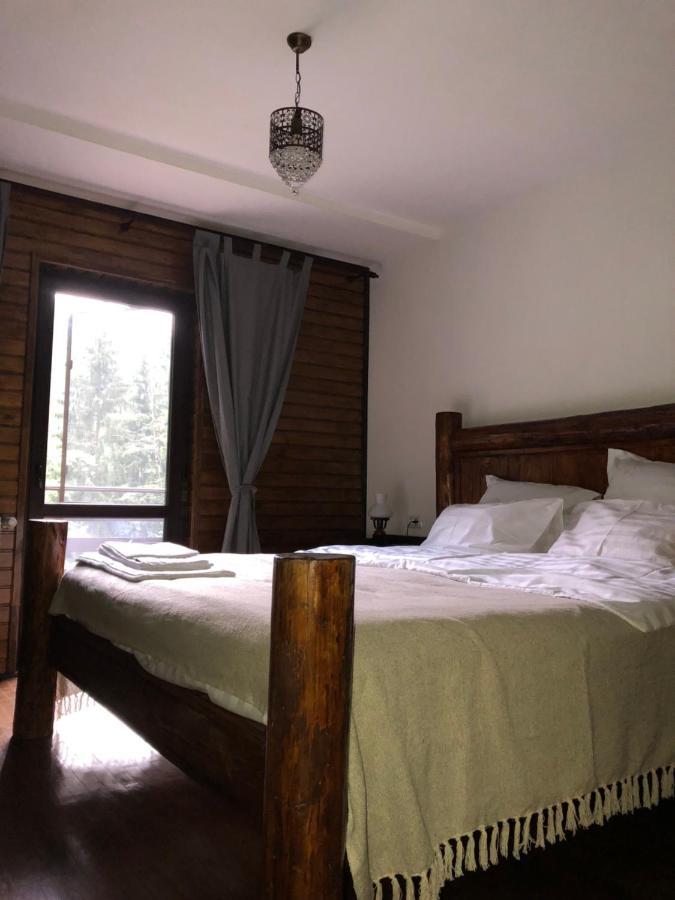 Cabana Zimbru Transfagarasan Arefu Exterior foto