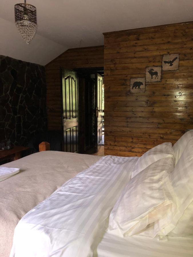 Cabana Zimbru Transfagarasan Arefu Exterior foto