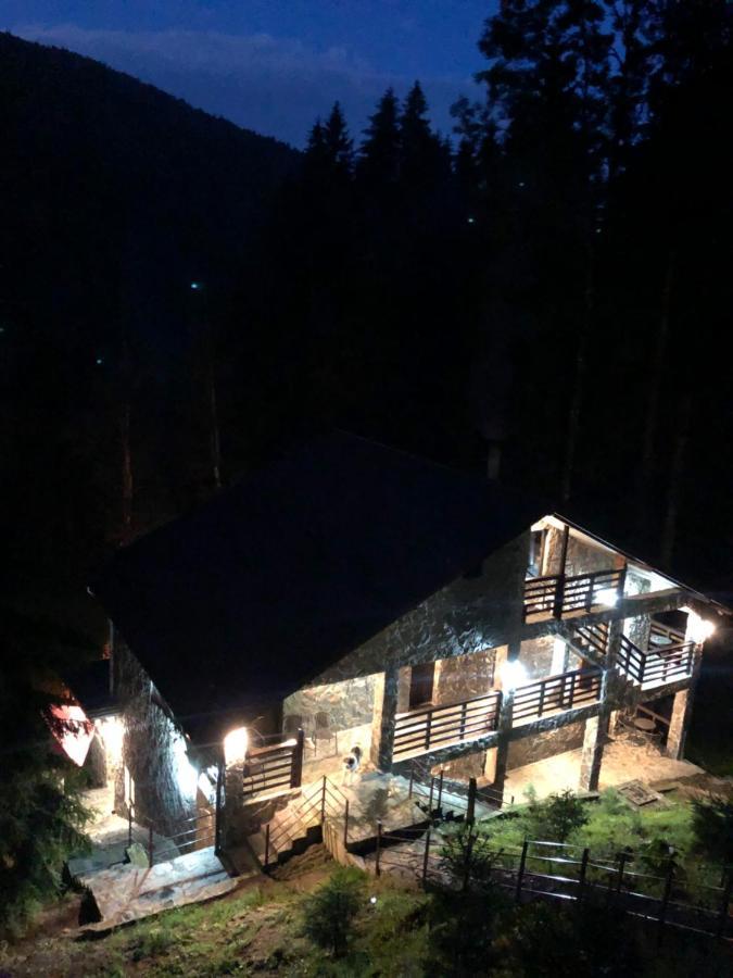 Cabana Zimbru Transfagarasan Arefu Exterior foto