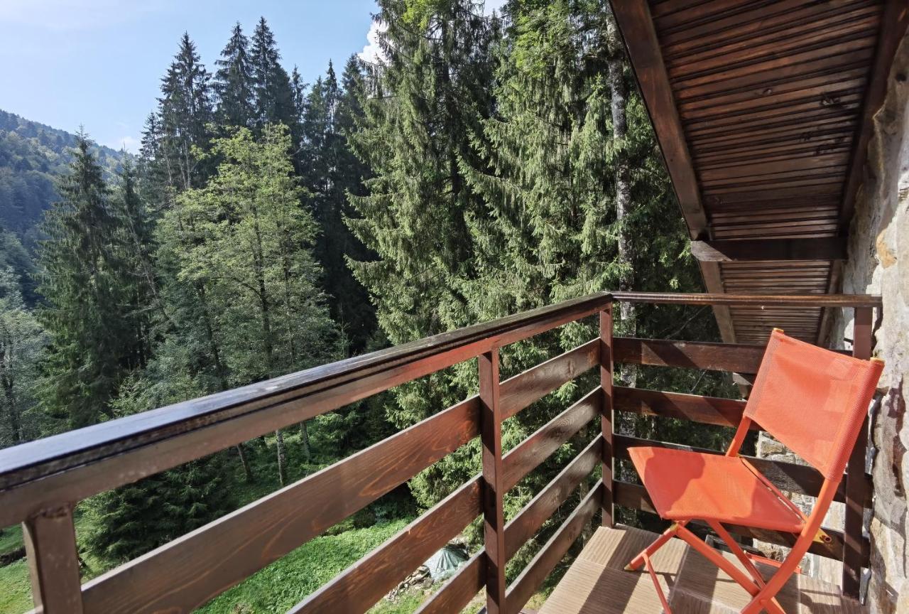 Cabana Zimbru Transfagarasan Arefu Exterior foto