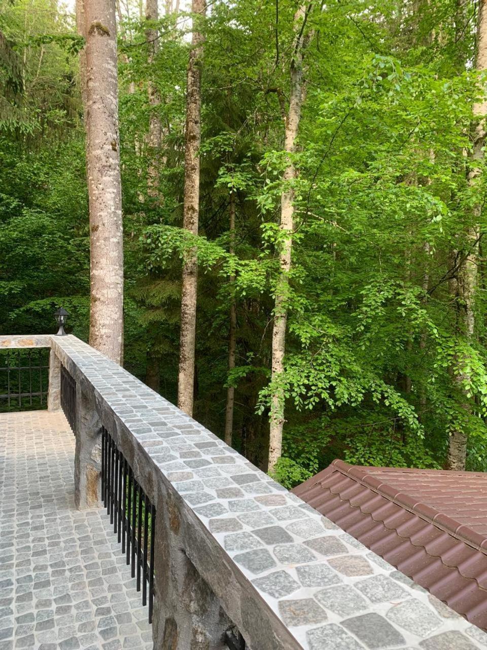Cabana Zimbru Transfagarasan Arefu Exterior foto