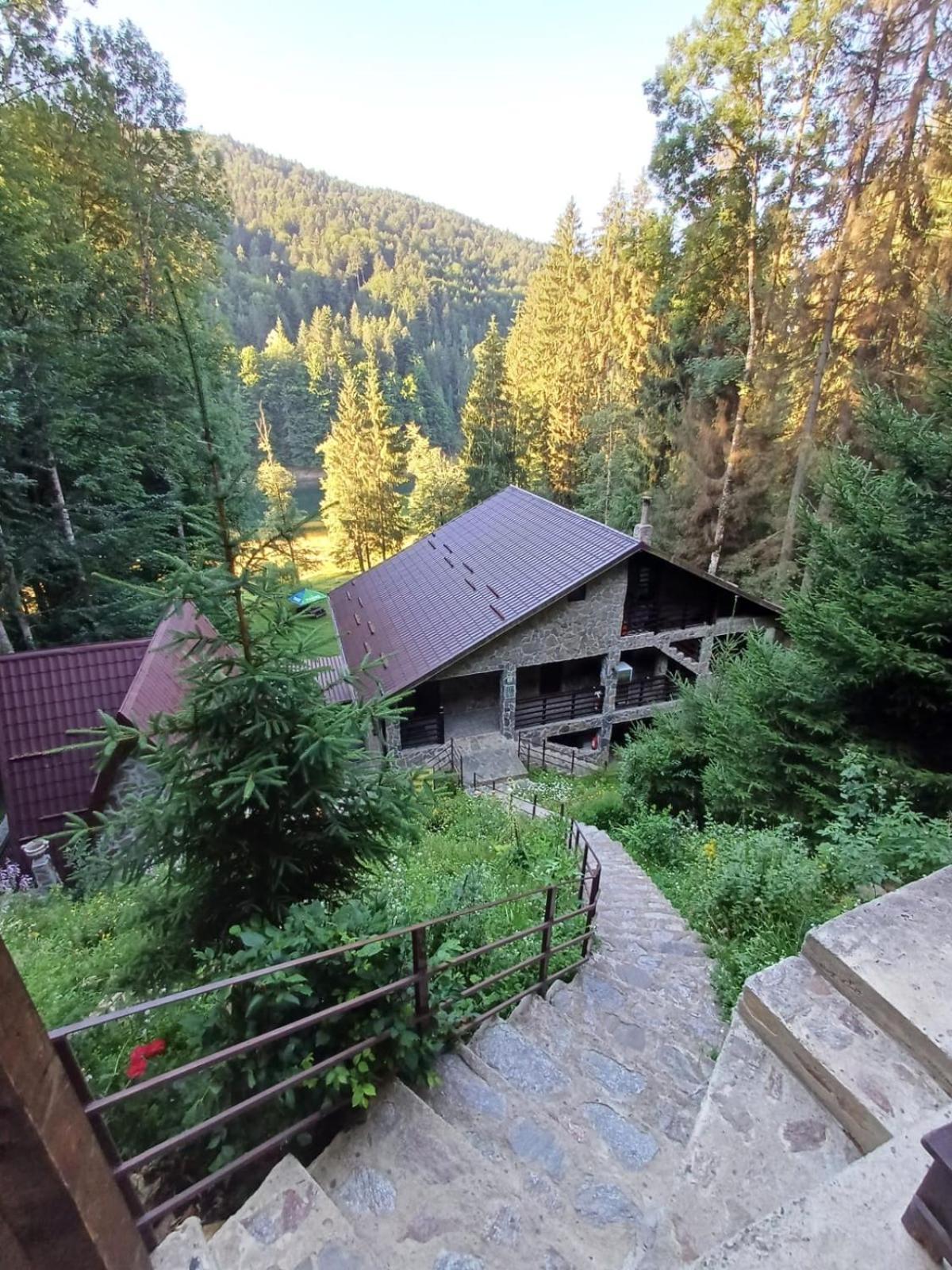 Cabana Zimbru Transfagarasan Arefu Exterior foto