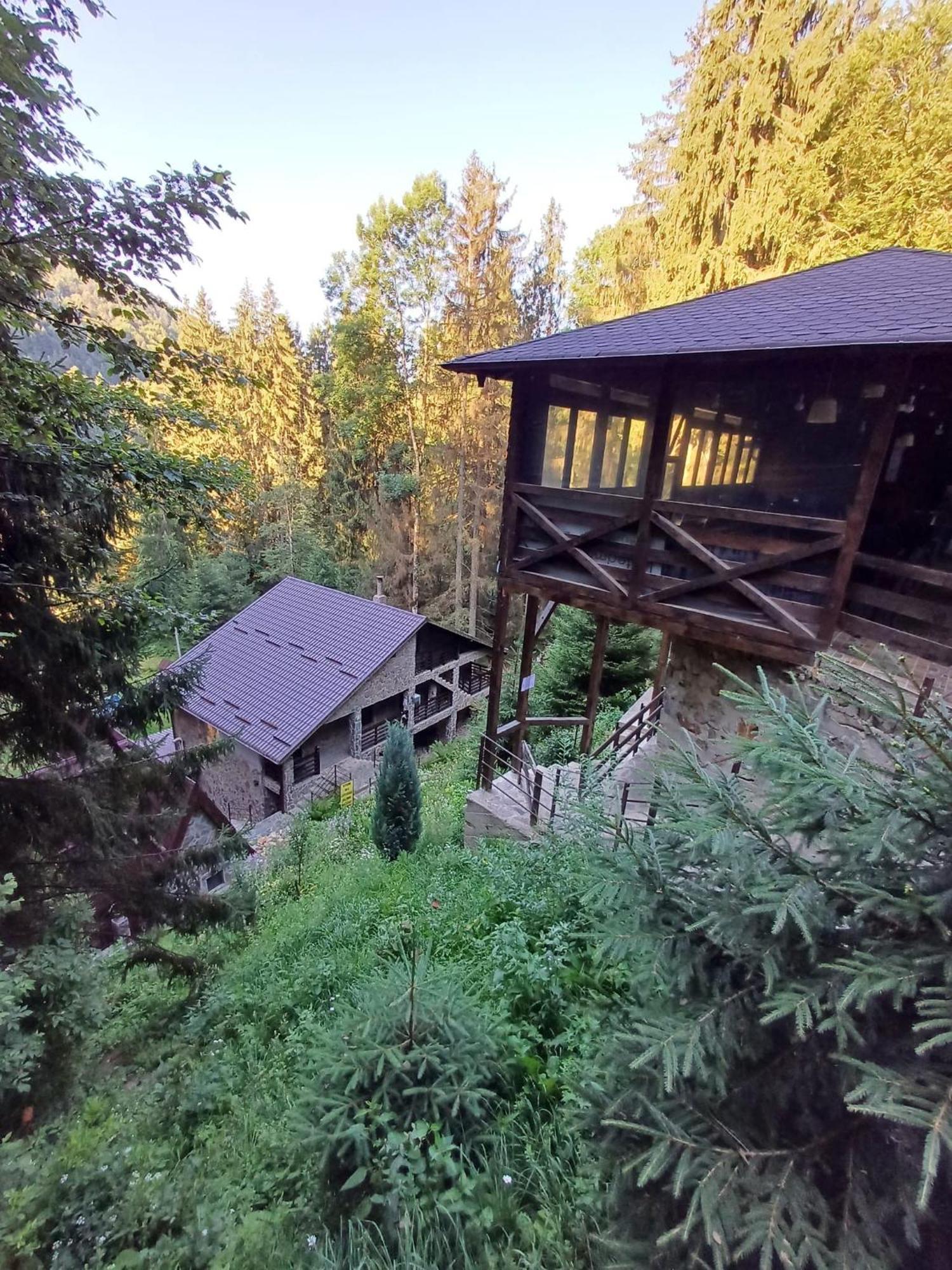 Cabana Zimbru Transfagarasan Arefu Exterior foto